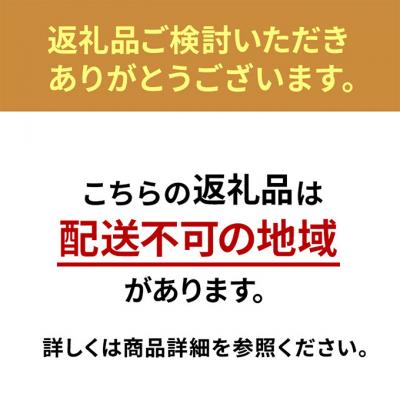 ふるさと納税 大河原町 冷蔵庫 庫内カメラ付き 453L IRGN-C45A-W ホワイト 大型 両開き[53751912] |  | 01