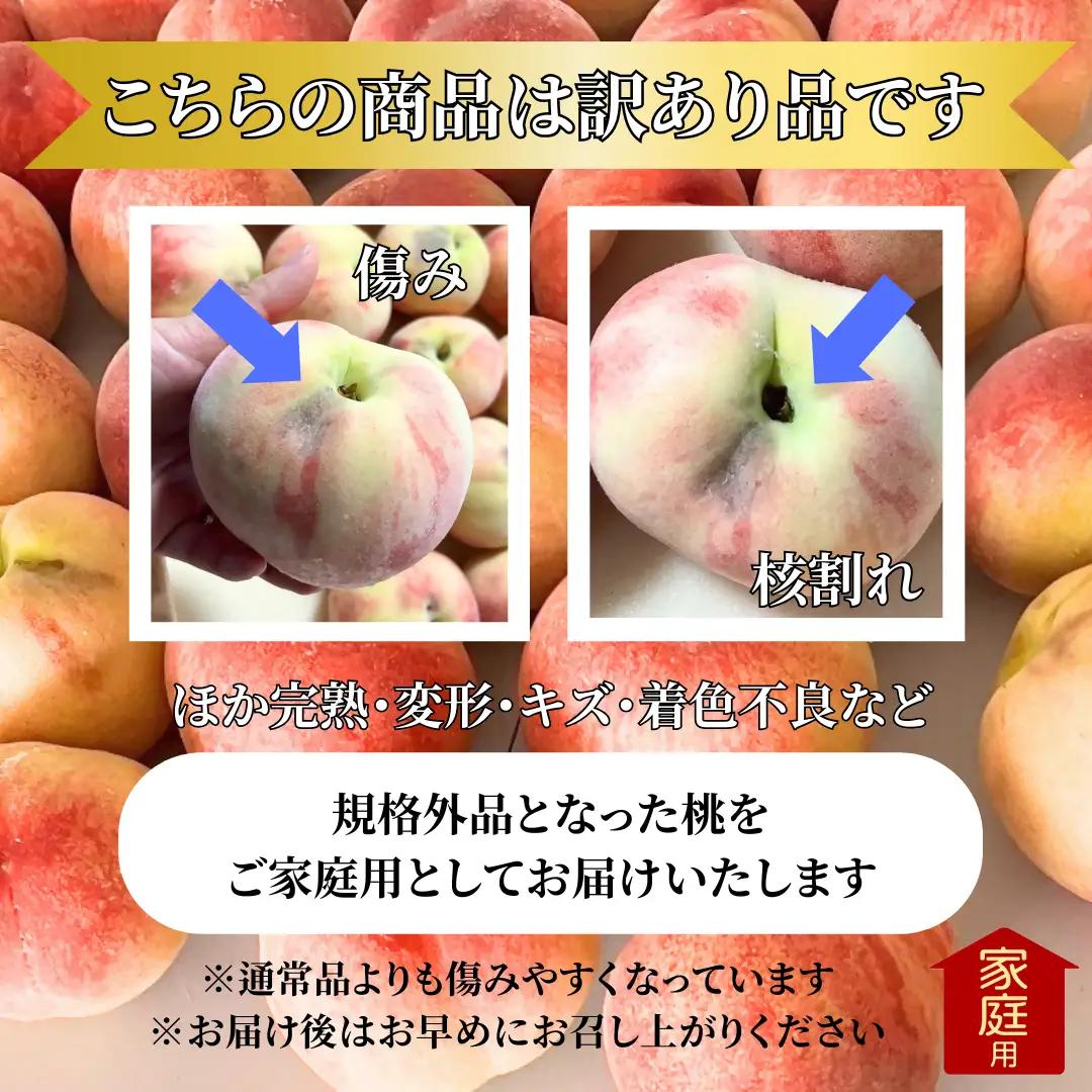 【訳あり】山梨県産旬の桃 約3kg（8～12玉）ご家庭用【2026年発送】（LKS）A08-851 桃 フルーツ
