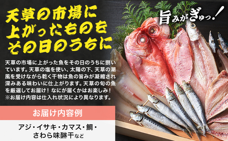 天草 魚 干し物 《30日以内に出荷予定(土日祝除く)》高橋商店