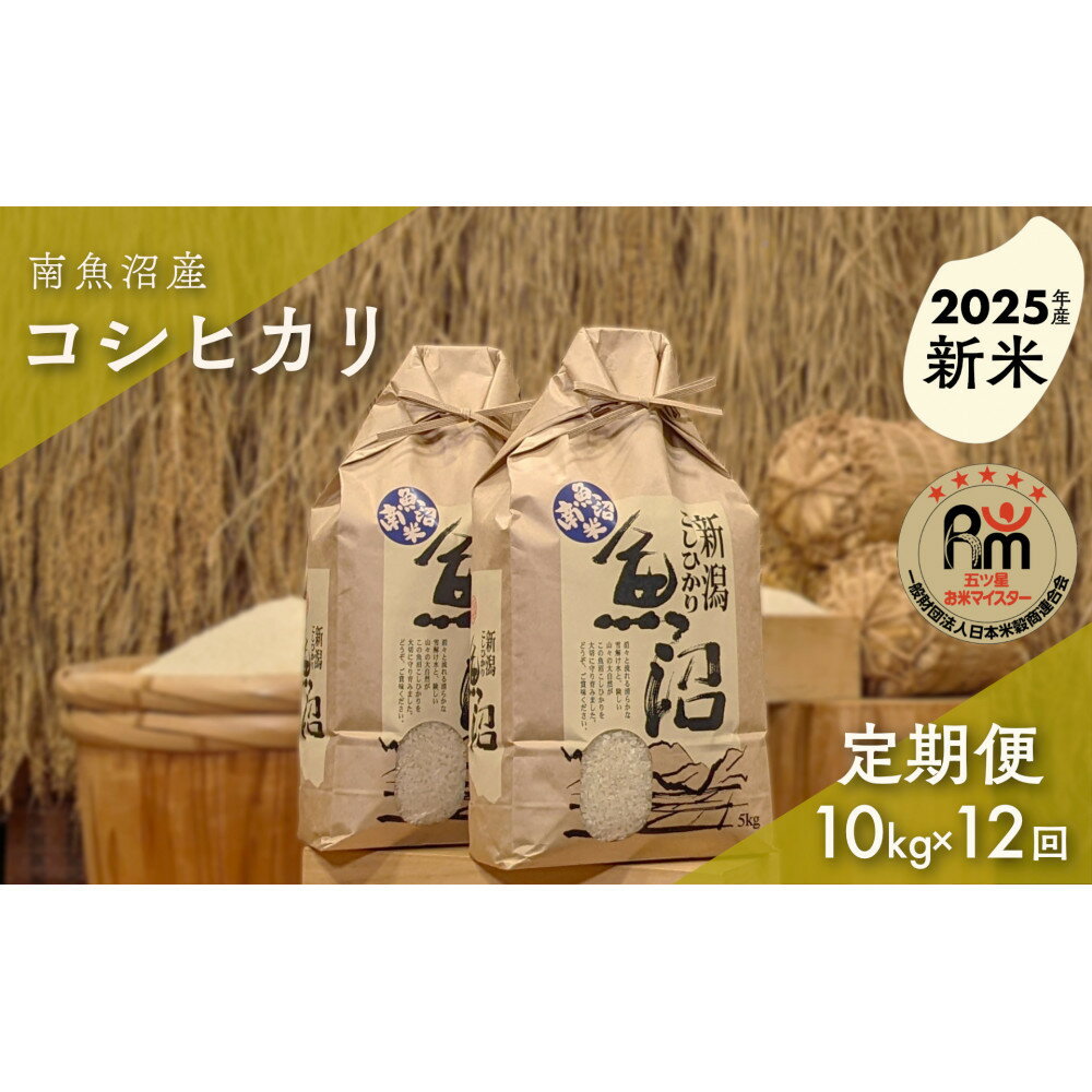 【ふるさと納税】【新米】令和7年産「五つ星お米マイスター」の南魚沼産コシヒカリ　精米10kg（5kg×2個）×12回（毎月定期便） | お米 こめ 白米 新之助 食品 人気 おすすめ 送料無料 魚沼 南魚沼
