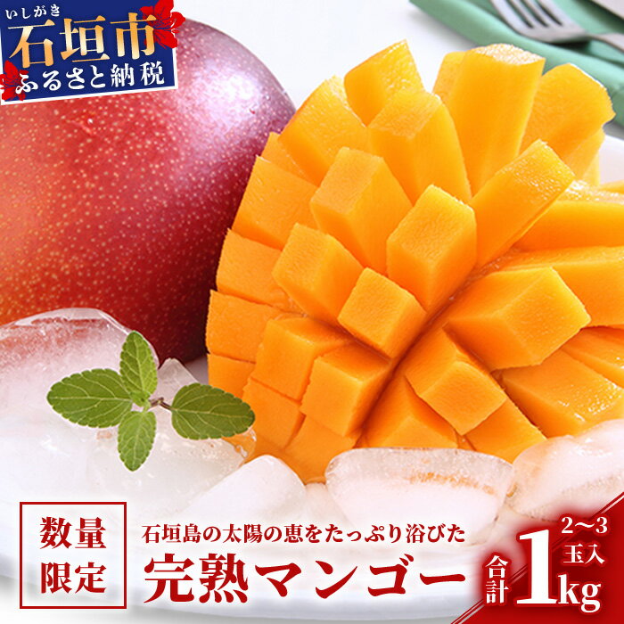 【ふるさと納税】1kg〜2kg とろける完熟マンゴー 石垣島産 [内容量を選べる] | ふるさと納税 マンゴー アップルマンゴー ふるさと納税 フルーツ 果物 果実 国産 ギフト 贈答用 沖縄県 石垣市 石垣島 人気 送料無料【2025年6月頃より順次発送】