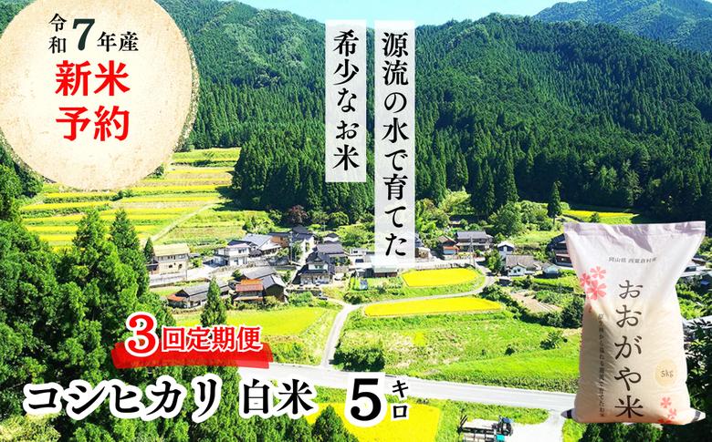 《令和7年産新米予約・10月ごろよりお届け開始》【3回定期便】白米 5kg 令和7年産 コシヒカリ 岡山 「おおがや米」生産組合 G-af-BECA