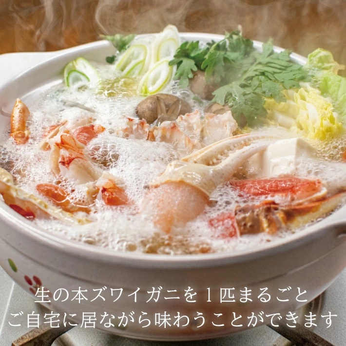 SB0768　春の生・本ズワイガニ　1匹(400g程度)