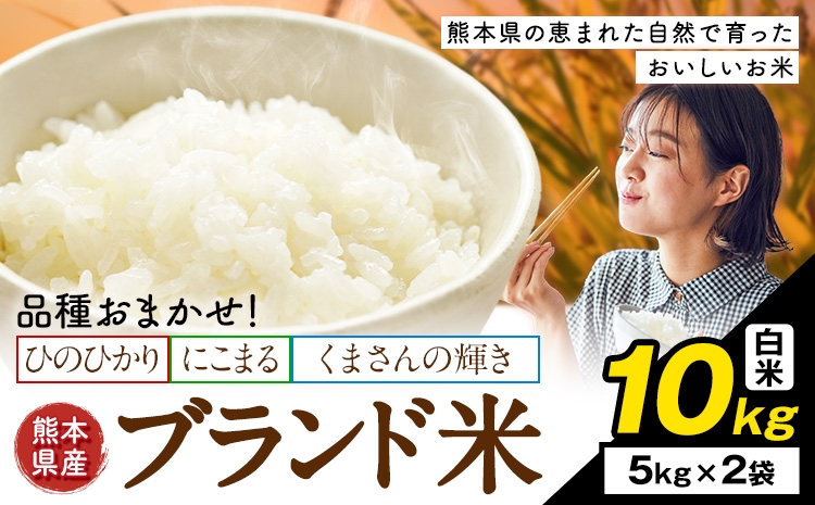 
                  米  南関町 単一原料米 (ひのひかりorにこまるorくまさんの輝き) 白米 10kg《7-14日以内に出荷予定(土日祝除く)》熊本県産 国産 ひのひかり 白米 精米 こめ コメ 10キロ
                