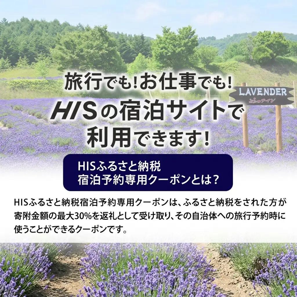HISふるさと納税宿泊予約専用クーポン（北海道富良野市）30,000円分