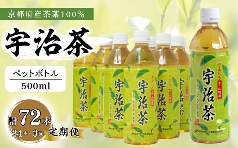 
            【3回定期便】 京都産 宇治茶 ペットボトル 500 ml × 24本 京都府産 京都産 お茶 茶 京都 宇治 宇治茶  緑茶 ペットボトル 500 24本 常温 煎茶 かぶせ茶 熱中症対策 熱中症予防 熱中症 備蓄 夏 京都府
          