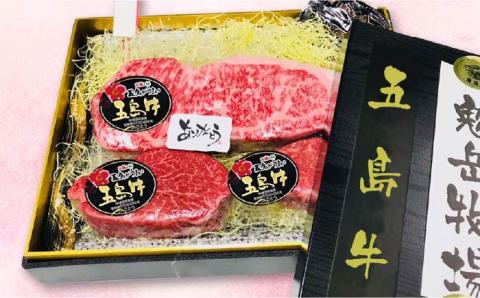【日時指定必須】五島牛特上サーロイン 約400g～500g・ヒレステーキ 約120g×2  牛肉 牛 肉 ステーキ 【鬼岳牧場】 [PEK002]