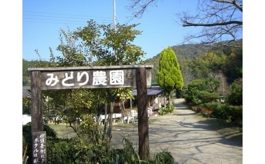 
            京都山城の里 みどり農園・四季の味覚めぐり 入園招待券 1組2名様 体験チケット フルーツ狩り 親子 子連れ ファミリー BBQ 体験 チケット 学び 学習 いちご ホタル 蛍 ぶどう みかん しいたけ 芋掘り 芋 いも 農園   京都 京都府 井手 井手町 【017】
          