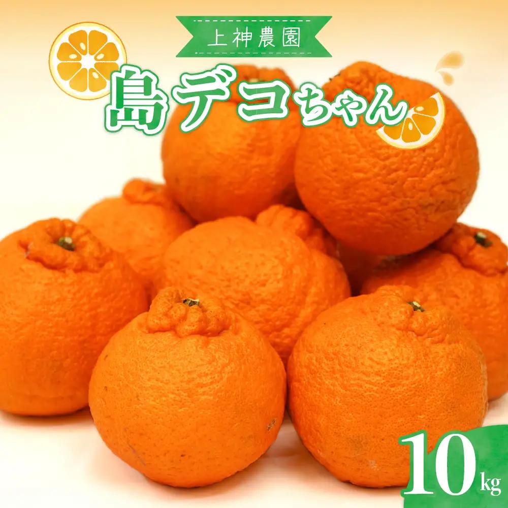 先行受付 2027年2月中旬～発送 島デコちゃん 約10kg しらぬい