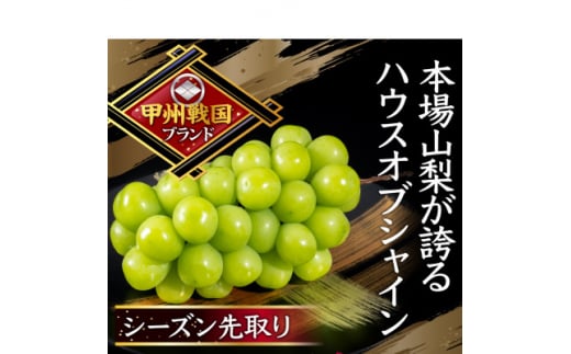 ＜本場山梨の真骨頂＞全国に先駆けて話題のハウスオブシャインマスカットの旬を堪能2026年6月上旬発送【1494994】
