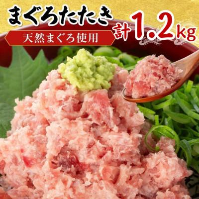 ふるさと納税 篠栗町 まぐろたたき 計1.2kg(100g×12P)