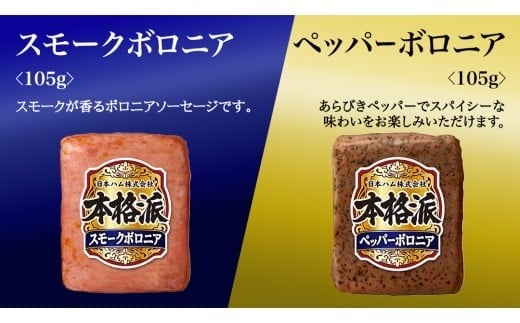 日本ハム 筑西工場 本格派 ギフトセットD 肉 にく 贈答 ギフト 詰め合わせ ハム ソーセージ ウィンナー 生ハム 焼豚 ニッポンハム ハム ギフト 冬ギフト 夏ギフト 熟成ハム ウインナー ソーセ