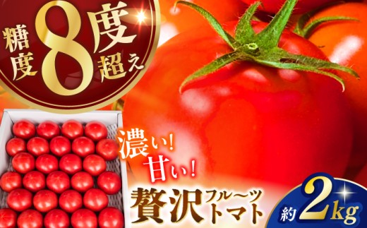 【先行予約】高知県高知市産 贅沢フルーツトマト 約2kg 〈2026年2月から発送〉 / トマト とまと  高知 フルーツ 果物 【片山農園】[ATCI001]