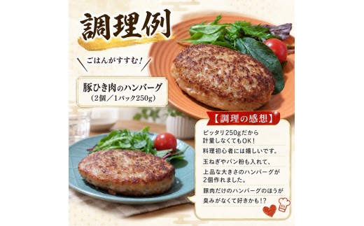 信州SPF豚　ひき肉 【750g (250g×3袋)】| SPF豚 豚 豚肉 ポーク お肉 ひき肉 挽肉 肉 信州 南信州 送料無料 ふるさと納税 長野県 飯田市
