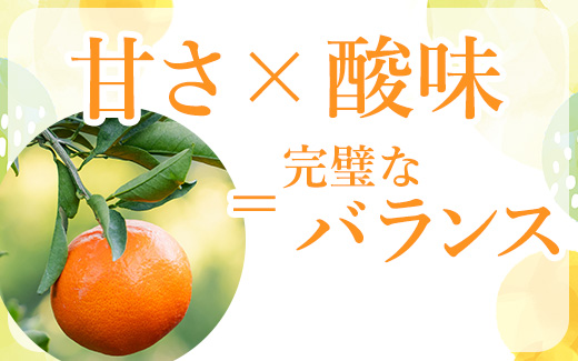【まごころ手選別】【3ヶ月定期便】有田みかん 秀品 約3kg（S～Lサイズ混合）※2025年11月上旬頃から1カ月に1回（計3回）発送