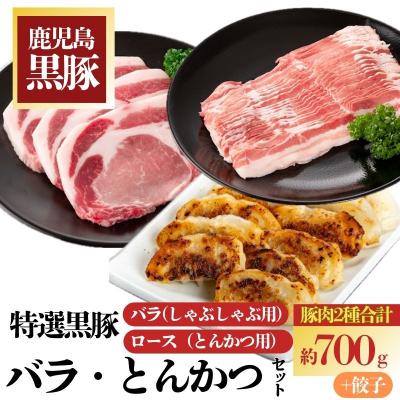ふるさと納税 肝付町  特選黒豚バラ・とんかつセット!黒豚餃子(12個入)×1P付き　A02042