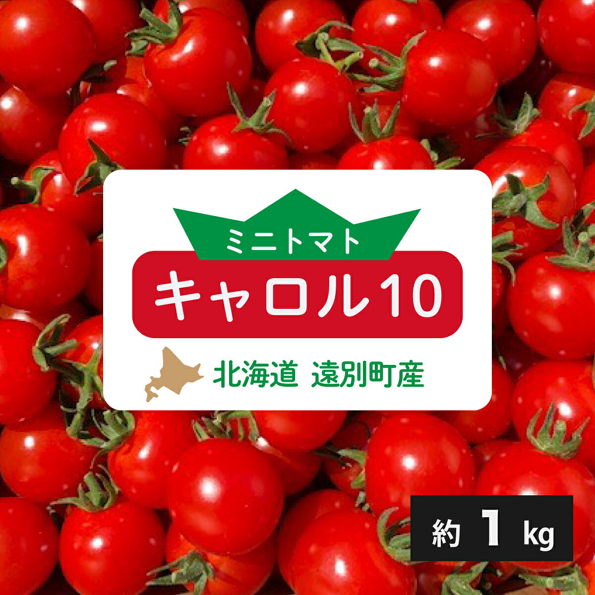 【ふるさと納税】遠別産ミニトマト（赤のみ1kg）【北限のミニトマト】　トマト とまと ミニトマト ミニトマトキャロル 野菜 やさい 緑黄色野菜 夏野菜 甘い 北海道 遠別町