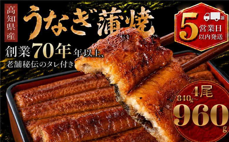 【スピード発送】 高知県産 うなぎ 蒲焼 4尾 | 国産 日本産 うな重 鰻 ウナギ 有頭 蒲焼き かばやき 土用丑の日 土用の丑の日 丑の日 魚 高級 贅沢 特別 老舗 初音 釜めし初音 鰻蒲焼 タ