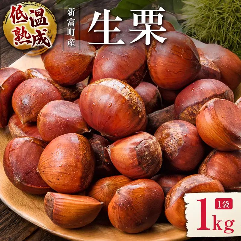 ＜2026出荷!!＞国産 低温熟成栗（生栗）1kg 熟成宝珠栗 産地直送 宮崎県新富町産【B671-26】