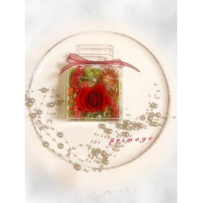 ふるさと納税 新宮町 ボトルフラワーミニ(5色から1つ選択).ZI357 |  | 01