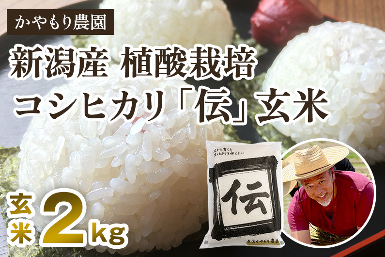 
            【令和7年産新米】新潟産コシヒカリ「伝」真空パック 玄米2kg 《9月下旬～順次出荷》 南麻布の高級料亭で提供される極上米 かやもり農園
          