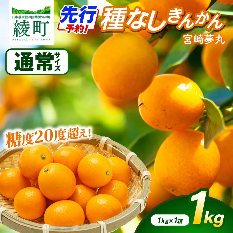 【先行予約】種なし きんかん「宮崎夢丸」 1kg 数量限定 種無し 果物 フルーツ くだもの 柑橘 金柑 プレミア おすすめ ギフト 贈り物 贈答 おやつ スイーツ デザート 糖度が高い 常温 産地直送 宮崎県 綾町 送料無料【JA綾町】_A0114-252