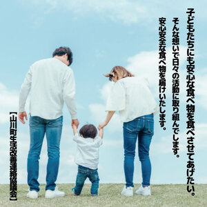 【 生こうじ 味噌 】 800g × 2個 味噌 みそ