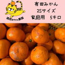 【ふるさと納税】訳あり温州みかん 家庭用 5kg（SSサイズ）小さなミカンが好きな人におすすめ