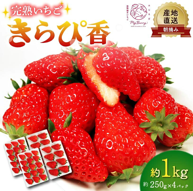 【ふるさと納税】 いちご きらぴ香 約1kg 約250g×4パック 2027年3月-5月発送 先行予約 朝どれ 完熟 苺 産地直送 フレッシュ イチゴ 贈答用 フルーツ 果物 国産 ストロベリー 季節限定 春 ギフト 贈り物 おすすめ 藤枝市 静岡県