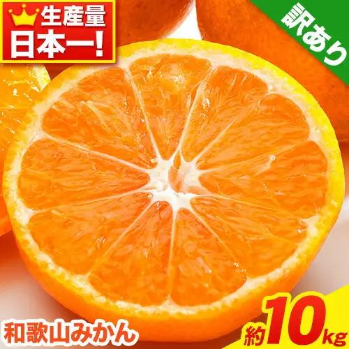 みかん 訳ありみかん 約10kg