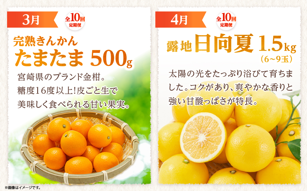 【全10回お届け】宮崎県綾町産 果物・野菜定期便 [X21]_A0113-0021