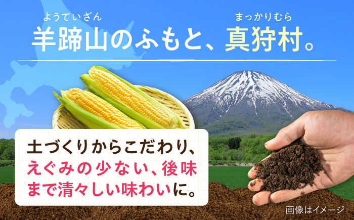 【2026年8月下旬以降順次発送】 とうもろこし（黄）5kg  |  とうもろこし とうきび トウモロコシ コーン 野菜 やさい 北海道 産地直送 |  道の駅 真狩フラワーセンター [BPAM020