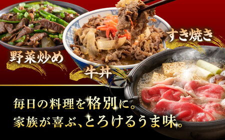 A5等級 飛騨牛 切り落とし 1kg (250g×4P) 瑞浪市 / マルチョウ渡辺精肉店 牛肉 和牛 国産 ギフト お取り寄せ[AZCW002]