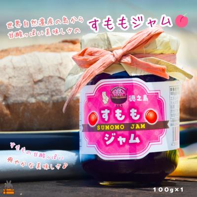 ふるさと納税 徳之島町 徳之島産すもも使用!低糖度の徳之島すももジャム(100g)