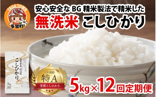 【先行予約】【令和8年産新米早期予約　毎月定期配送・計12回】 BG無洗米こしひかり5kg×12回 [P-00406] / 滋賀県産 多賀町 コシヒカリ 米 お米 こめ コメ 白米 ご飯 精米 5kg 袋 定期便 12ヶ月連続 国産 送料無料 おすすめ 人気 大人気 国産 ランキング 無洗米 ヌカ