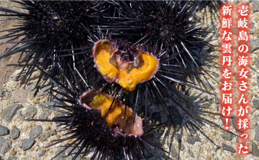 【2026年5月出荷分予約】生紫うに 60g×1本 《壱岐市》【メイリ・キッチン】[JBD054] 紫うに 生うに ウニ ムラサキウニ うに 雲丹 海産物 海鮮 冷蔵 ご飯のお供 ごはんのおとも 瓶詰