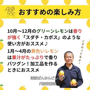 【レモン】訳あり レモン 5kg