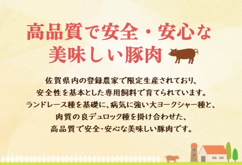 肥前さくらポーク詰合せCセット(さくらポークとんかつ5枚・生姜焼き500g・焼肉用300g)【JA 美味しい やわらか ジューシー 高品質 ビタミン タンパク質 限定生産 冷凍】 A5-A012009