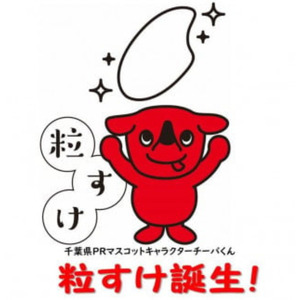 米 粒すけ 5kg 【五ツ星お米マイスター厳選】お米 白米 ブランド米 千葉県 銚子市 根本商店                                                    