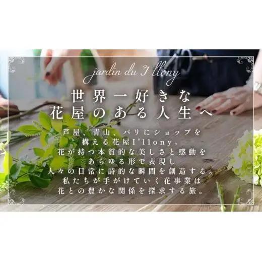 季節の花束 3回定期便《Gorgeous》直径約28cm
