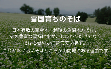 小千谷そば 8束16つゆ たかの  蕎麦