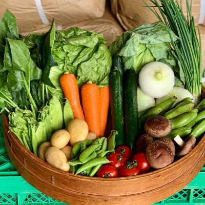 ふるさと納税 牧之原市 【12品】畑から採りたて発送!静岡厳選野菜セット |  | 02