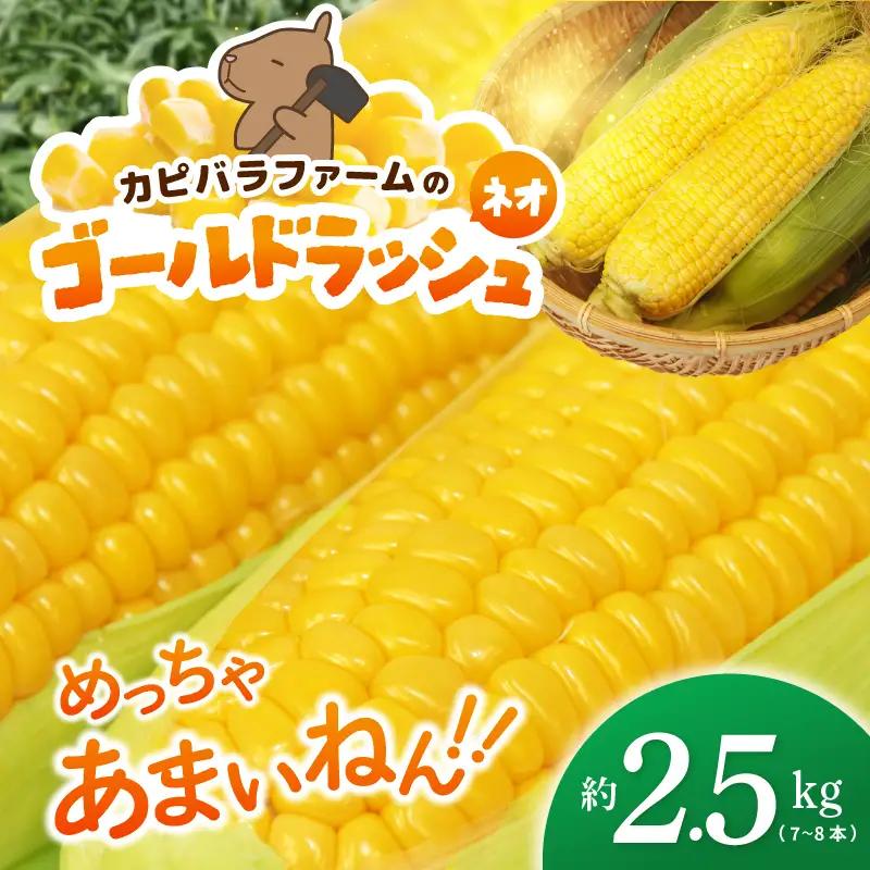 【先行予約】とうもろこし(ゴールドラッシュ ネオ) 約2.5kg（7～8本）