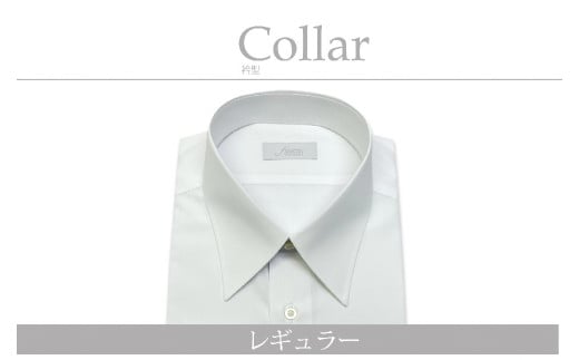 【国内縫製】オーダーシャツ工場で作る綿100％メンズ用ドレスシャツ「8Lサイズ」衿型レギュラー 1080012