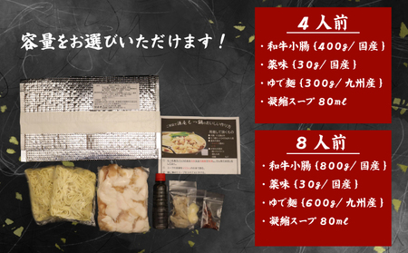 厳選小腸の博多もつ鍋800gちゃんぽん付き｜博多 もつ鍋 SHU001