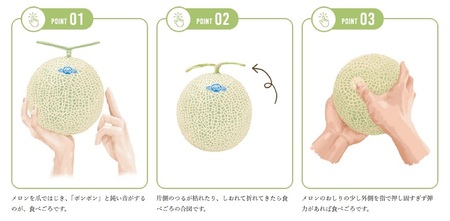 メロン 温室 アローマ 果物 ハウス 白等級 1玉 GABA (a16-148)