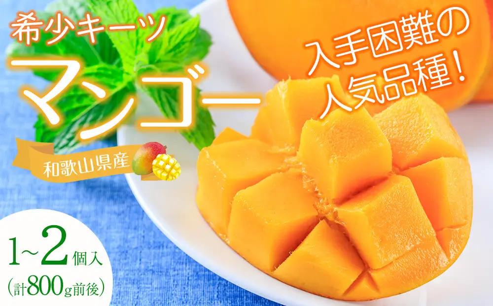 超希少なマンゴー［キーツ］約800g 和歌山市［2026年9月中旬頃から発送］