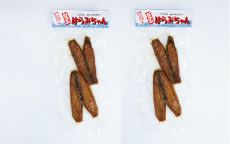 さつま揚げ、はらみちゃんセット(七宝篠原商店/A-049) 鹿児島 指宿市 魚 魚介 アジ イワシ カツオ さつま揚げ さつまあげ 薩摩揚げ 練り物 はらみ ハラミ おかず おつまみ 惣菜 無添加 冷