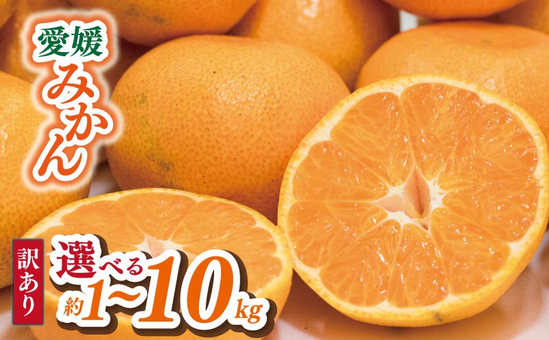 
                  【順次発送中】 訳あり 愛媛みかん  1kg / 2kg / 5kg / 10kg | えひめみかん 愛媛のみかん 温州みかん みかん 温州ミカン 柑橘 果物 蜜柑 えひめのみかん くだもの フルーツ みかん ミカン mikan mican オレンジ 不揃い 傷 ワケアリ 訳アリ 産地直送 愛媛県 松山市
                