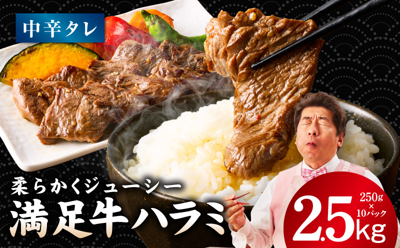 【満足牛ハラミ】中辛タレ漬け 合計2.5kg 【味付け ハラミ 小分け 焼くだけ 簡単調理 BBQ 牛肉 250g×10P 普段使い 大阪 泉佐野 大阪府 泉佐野市】